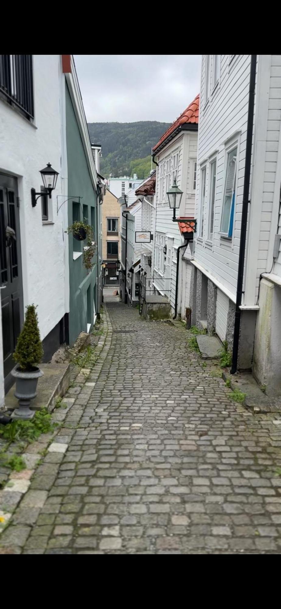 The Dreamhouse - Inner City Center - Old Town Bergen Eksteriør billede